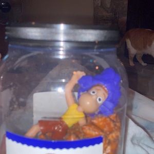 Meet your Posher, Mackenzie